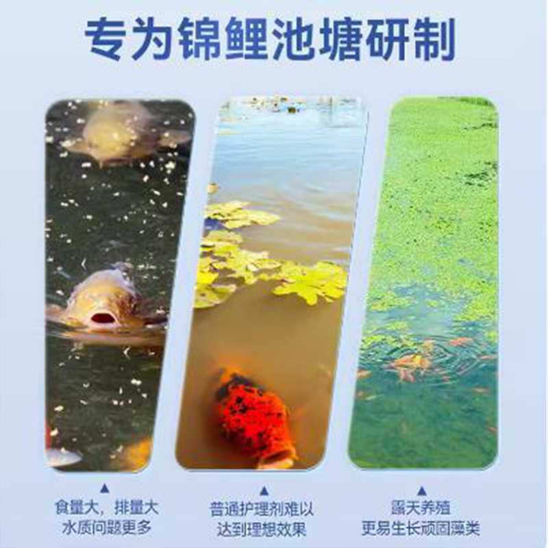百因美硝化细菌锦鲤金鱼龙鱼鱼池5L硝化菌净水剂除藻剂水质稳定剂