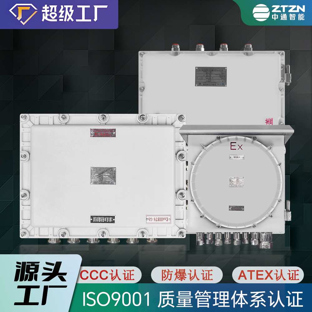 防爆接线箱配电箱照明动力控制柜按钮开关箱检修端子仪表箱柜成套