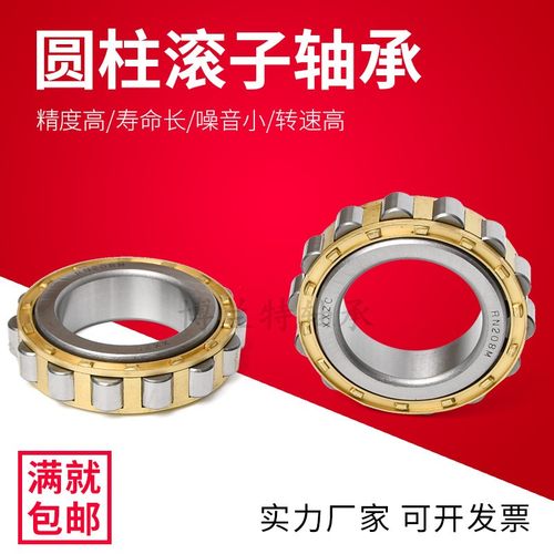 无外圈圆柱滚子轴承RN305M 306 307 308 309 310 311 312 313EM