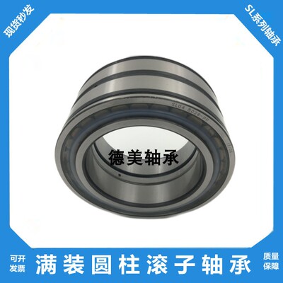 双列满装滚子轴承SL045004 045005 045006 045007 045008 045009