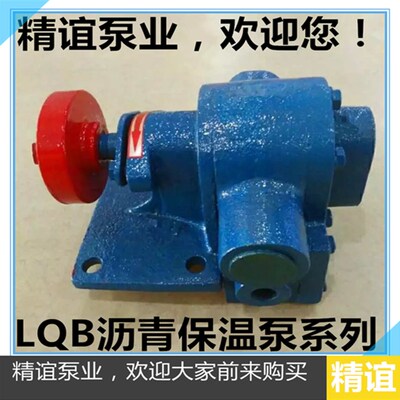 高温电动沥青泵LQB1/2/3/5/-0.36 树脂泵石蜡泵化工泵齿轮油泵头