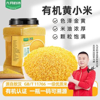 正宗内蒙古敖汉有机黄小米