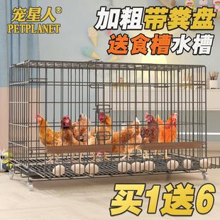 鸡笼子家用养鸡笼大号特大号自动清粪折叠养殖笼鸡舍铁丝网鸭狗笼