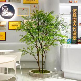 大型彷真树南天竹绿植假树室内外枯山水造景茶室装饰景观盆栽植物