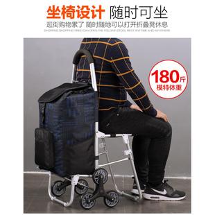 带带座可凳买菜20210318购物车小拉车人手推便携家用爬楼手拉车老