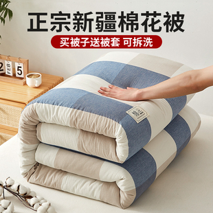 宿舍四季 春秋被子全套一整套二合一被芯2024新款 通用棉花被可拆洗