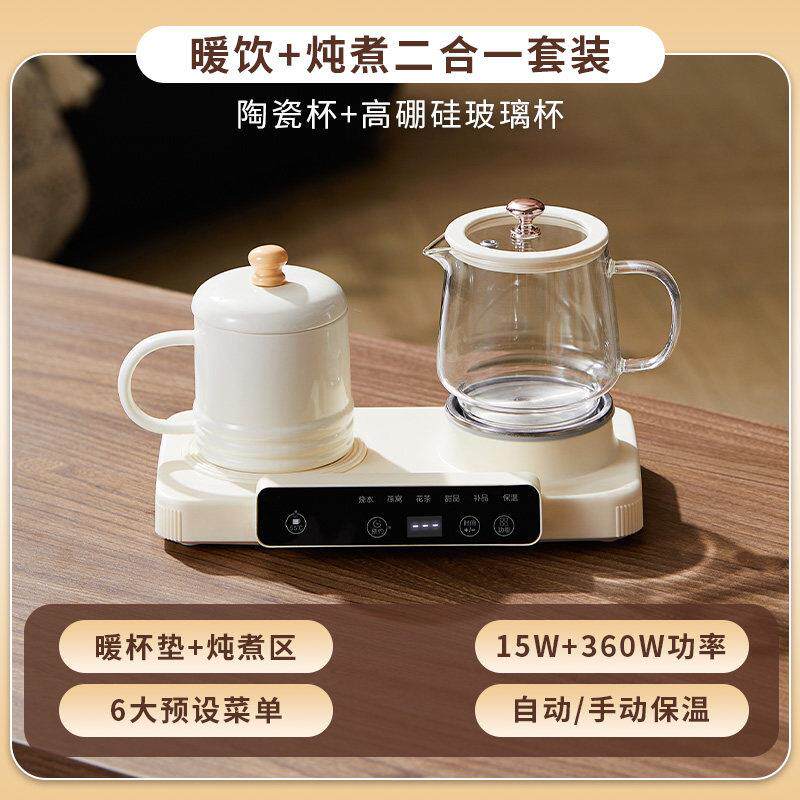 全玻璃煮茶壶养生壶小型办公室多功能迷你一人2025新款家用烧水壶