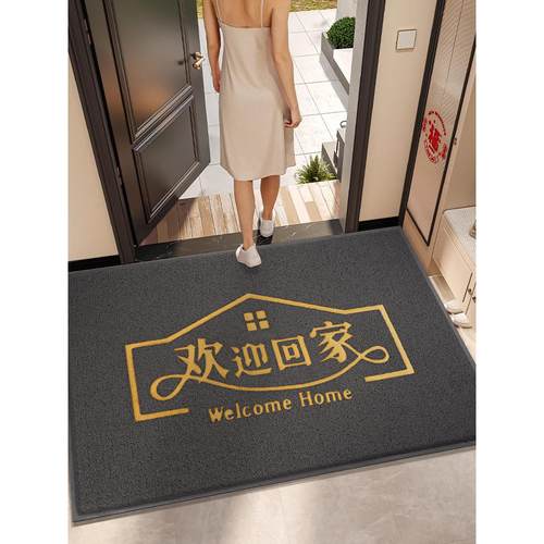 入户门地垫进门家用大门口脚垫进户门垫出入平安地毯门外丝圈垫子