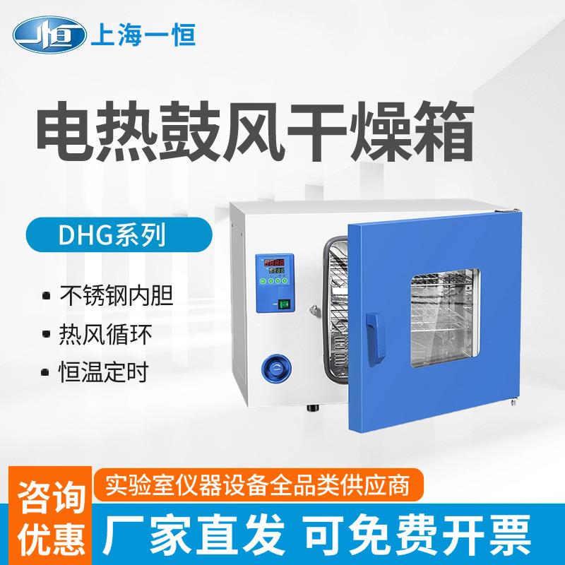 上海一恒DHG-9030A鼓风恒温干燥箱实验室烘箱工业电热恒温干燥箱