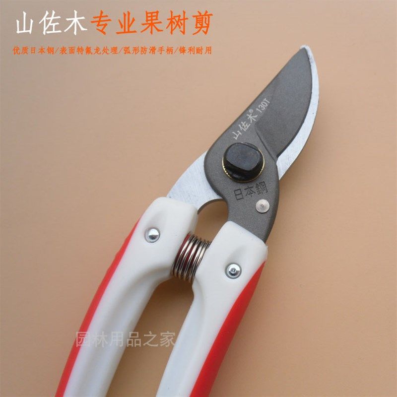 园艺剪刀修枝剪修树枝剪刀园丁剪花枝剪果枝剪粗枝剪园林剪刀工具,工业油品/胶粘/化学/实验室用品,烧杯/烧瓶,淘宝优惠券,粉丝福利购,淘宝优惠卷