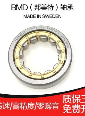 瑞典BMD圆柱滚子轴承RNU202 203 204 205 206 207 208 209 210 P5