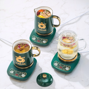 养生壶办公室迷你小型煮茶壶mini煮茶器家用多功能花茶养生杯玻璃