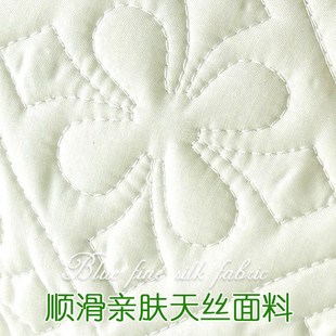 凉感枕头套夹棉枕芯内胆罩 兰精天丝夏季 双人长枕套 欧式 简约长款