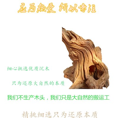 鱼缸造景摆件枯木树形珊瑚木雨林缸南美沉木大小号非紫柚木杜鹃根