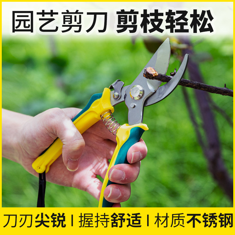 花艺剪刀修枝神器园艺剪刀树枝家用果树摘果工具剪子园林强力粗枝