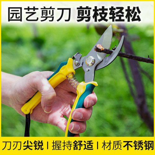 花艺剪刀修枝神器园艺剪刀树枝家用果树摘果工具剪子园林强力粗枝