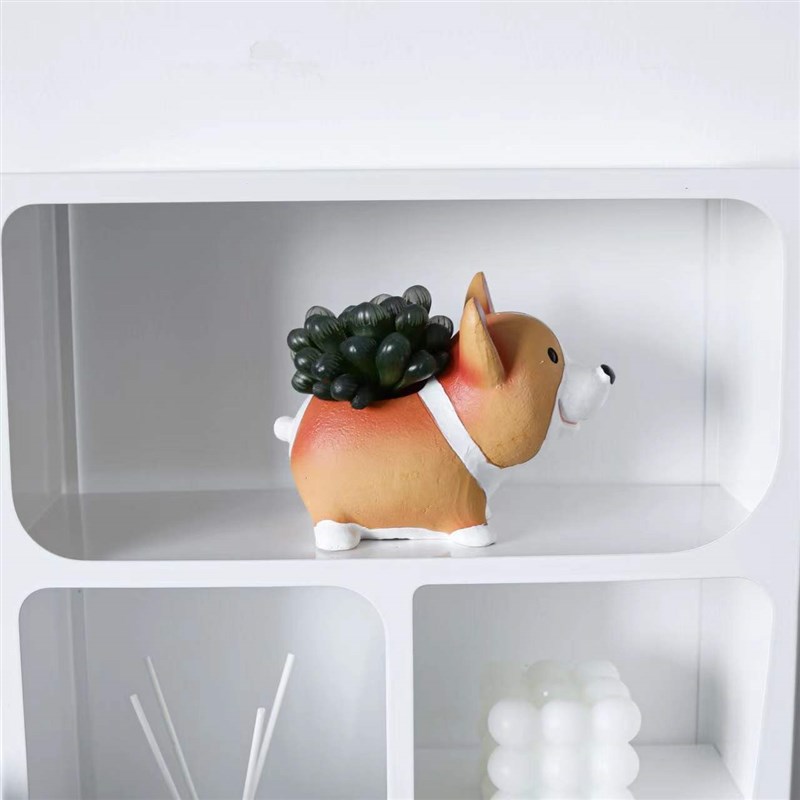 柯基小狗花盆盆栽多肉植物室内玉露创意绿植花卉桌面礼物好养肉肉