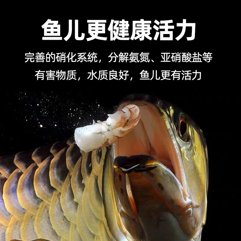 NO1浓浆活性硝化王水质稳定剂鱼缸净水剂养鱼龟培菌分解氨氮