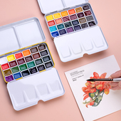 梵美极乐申内利尔温莎牛顿歌文白夜荷尔拜因伦勃朗固体色装 初学者