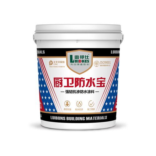 雷邦仕防水材料水泥基室内修阳台聚合物防水涂料胶