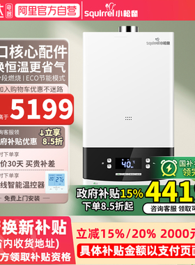 【国家补贴15%】小松鼠燃气壁挂炉家用天然气节能采暖锅炉B15 37