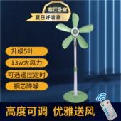 风扇落地扇家用软叶小型无网罩2025新款 五叶扇大风力静低音客厅