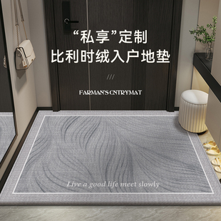 入户地毯b进门地垫2024新款 家用高级感耐脏玄关门垫室内门口脚踏