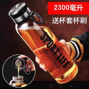 单层玻璃杯超大容量耐高温玻璃水杯茶水分离泡茶喝水杯子户外便携