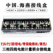 三相四线电能计量联合接线盒 PJ型防窃电带保险熔丝黑色 海燕 FJ6