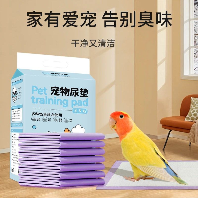 鹦鹉尿垫一次性鸟笼垫纸片宠物鸟专用尿不湿隔尿清理接粪便屎垫布,宠物/宠物食品及用品,尿片/尿垫/护垫,淘宝优惠券,粉丝福利购,淘宝优惠卷