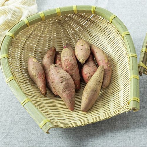 黄一府竹编筲箕竹制品手工竹篮厨房家用小簸箕竹筛子竹馒头筐