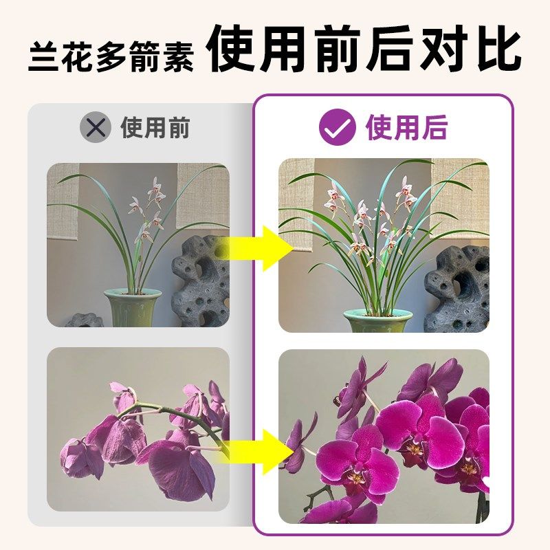 兰花多箭素爆芽素专用菌营养液蝴蝶兰多剑王兰科通用营养液肥料,鲜花速递/花卉仿真/绿植园艺,家庭园艺肥料,淘宝优惠券,粉丝福利购,淘宝优惠卷