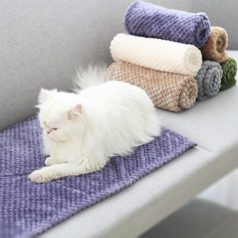 云貂绒宠物被子狗狗猫咪床垫猫窝秋冬季保暖舒适不粘毛加厚毛毯子