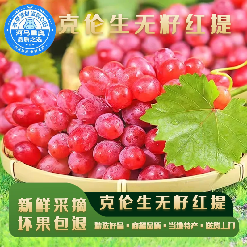 河马水果无籽正宗克伦生葡萄红提