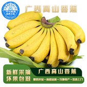 河马水果广西高山甜香蕉5斤皮薄肉厚软糯香甜青皮自然熟新鲜现摘