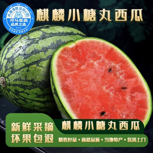 河马水果新鲜山东2K麒麟小糖丸甜西瓜手剥薄皮孕妇冰糖子西瓜当季