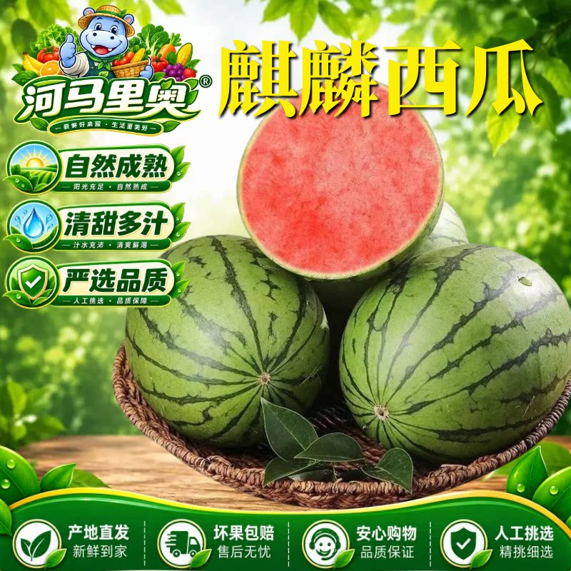河马新鲜水果山东2K麒麟小糖丸
