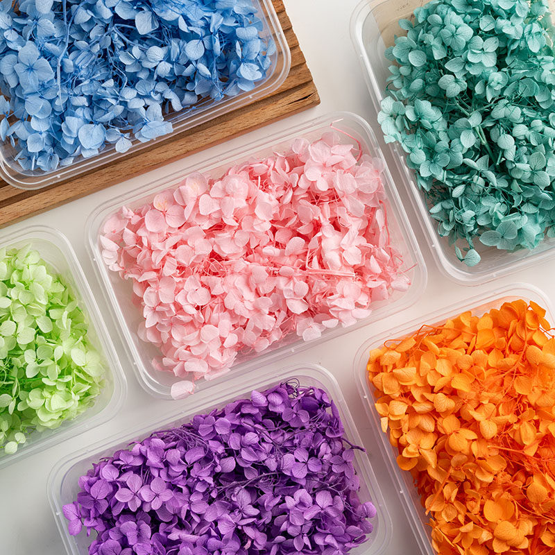 绣球花A级永生花diy材料5克安娜木绣球美甲滴胶手工制作喜盒相框,鲜花速递/花卉仿真/绿植园艺,永生花,淘宝优惠券,粉丝福利购,淘宝优惠卷