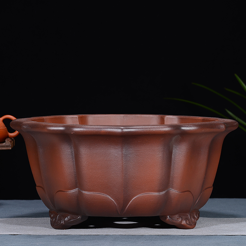 宜兴紫砂花盆仿古拍菱花盆景花盆植物盆栽文竹榕树老桩盆陶瓷花盆