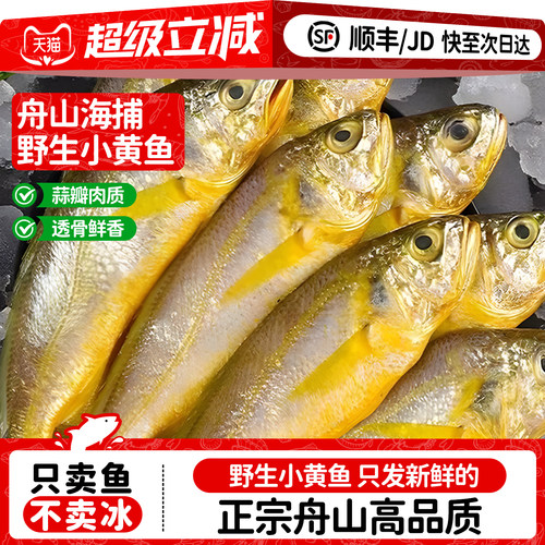 弹指鲜生野生舟山小黄鱼新鲜冷冻黄花鱼烧烤夜宵鲜活水产批发5斤