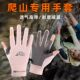 徒步运动装 爬山手套户外登山装 备攀岩专用防滑耐磨专业女款 备专业