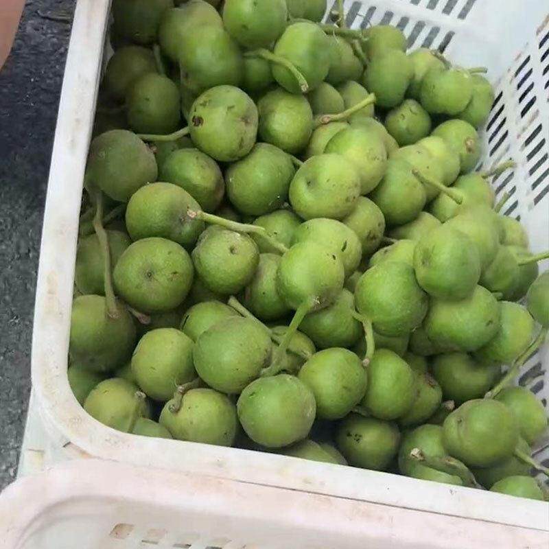 现货青皮文玩核桃蛤蟆头野生核桃现摘青皮核桃核桃厂家