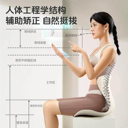 倍立正护腰坐垫久坐不室神器公腰部支办撑AZE靠垫人体工学坐累姿