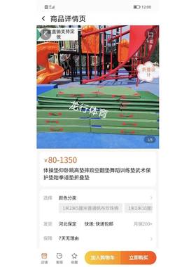 练空翻子跆拳道跳高垫攀岩体操舞蹈少林武术防护训OEN珍棉珠海绵