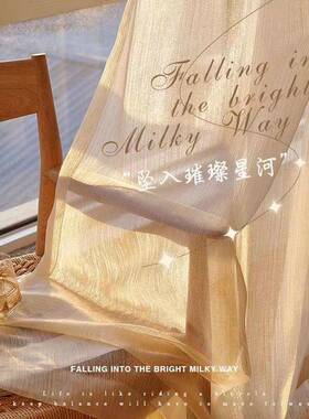 法式梦幻客流光纱帘透ULO光半透帘人卧室厅高感轻级奢窗轻薄新款