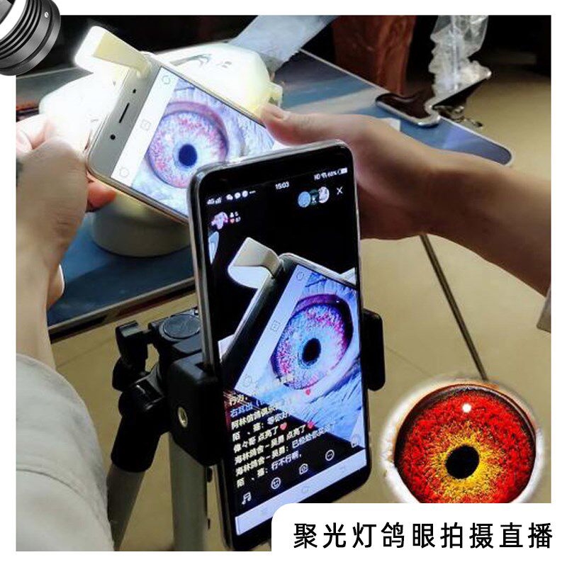 拍点补光灯拍照室内摄影常亮灯摄影灯打光灯鸽眼拍照道具