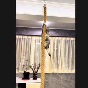 猫爬架顶天立地免打孔猫爬绳实木B猫爬通天绳索大型猫绳梯猫跳台