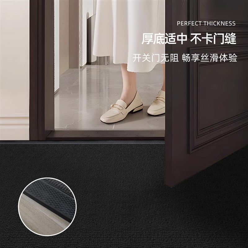 高级入户门地垫别墅进门大门口脚垫门外家用耐脏免洗防滑室外地毯