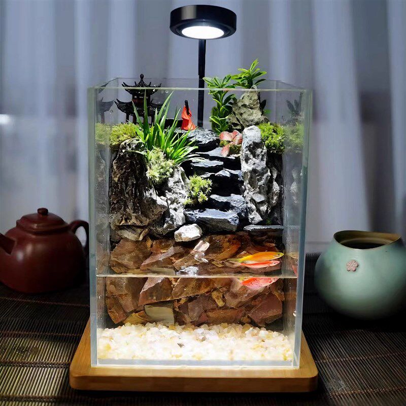 苔藓微景观生态瓶雨林缸造景闷养桌面办公室植物盆景绿植养鱼缸