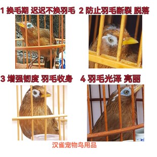 笼养鸟用亮羽液加速换羽 增强羽质 亮毛防止断裂 烂毛 脱落